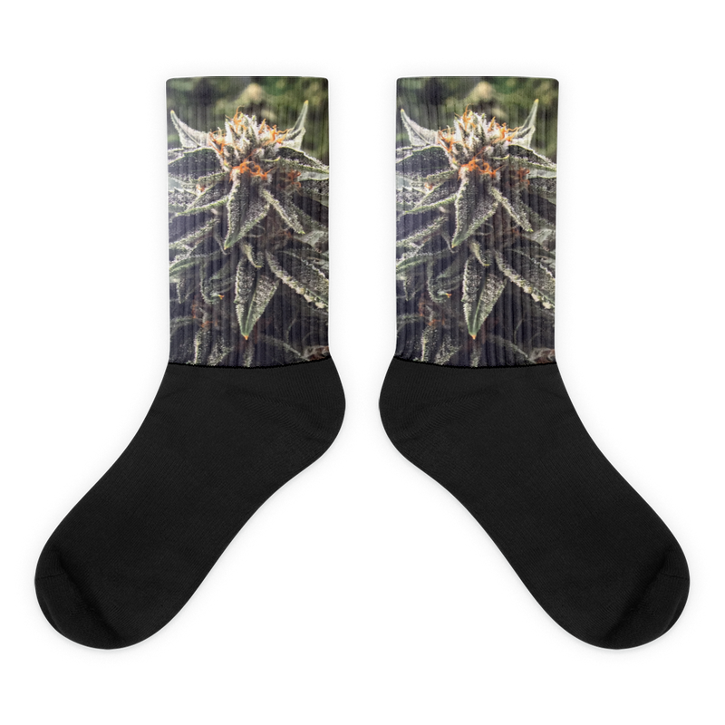 Limited addition Green Gongee Socks